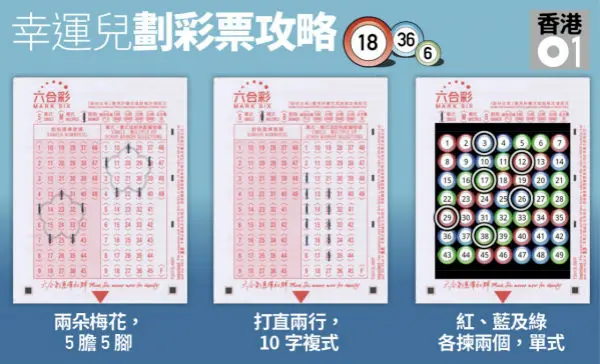 六合彩要如何進行投注