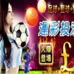 信用版