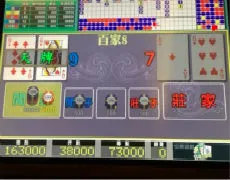 百家樂新手